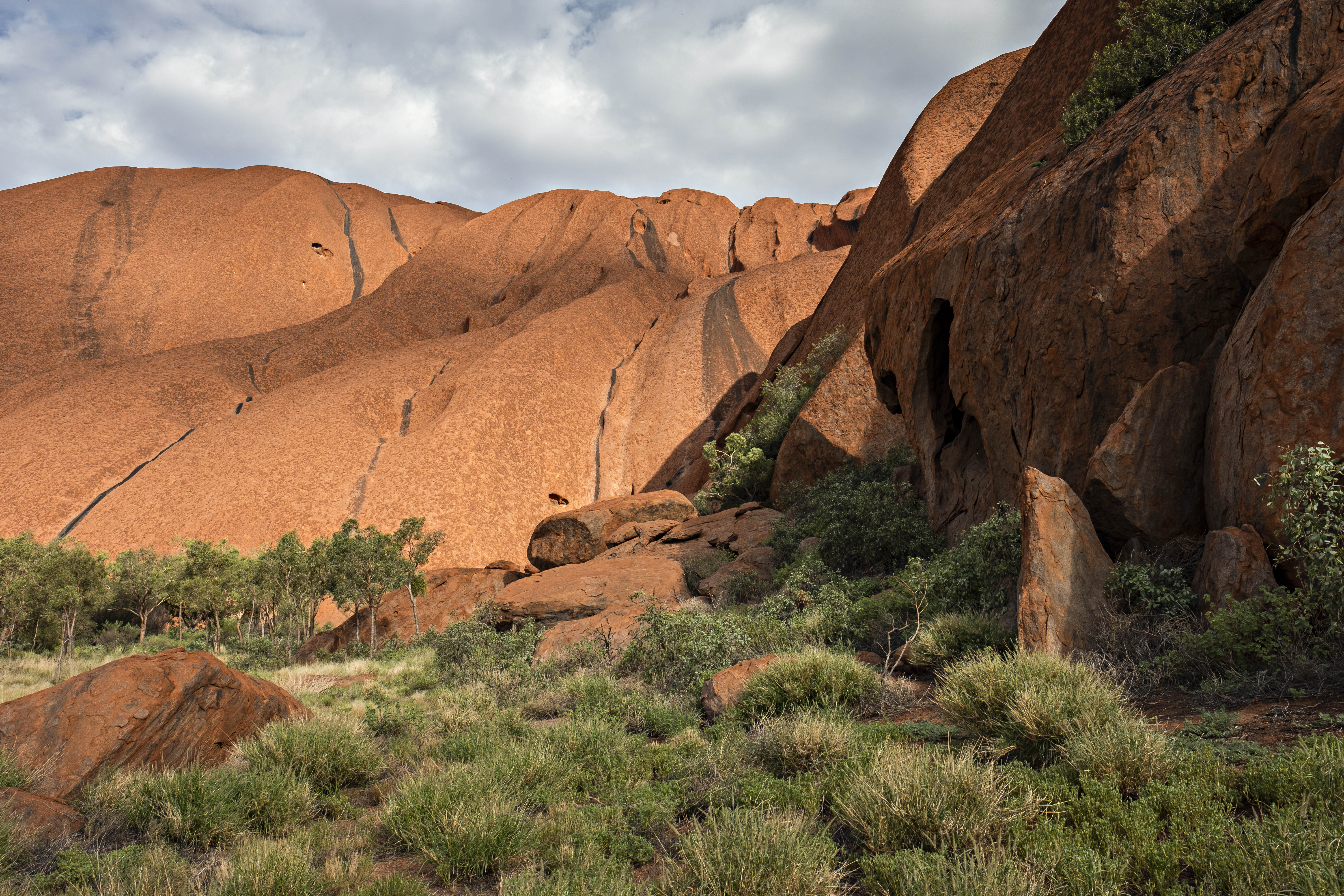 Blogpost for Exploring down under